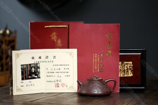 瓣生香獨傲寒，此梅難并眾梅看。 【