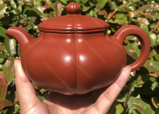 葵仿古；大紅袍450CC